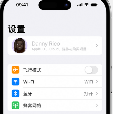 侨乡街道开发区appleID维修服务iPhone设置中Apple ID显示为灰色无法使用