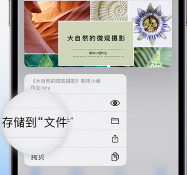 侨乡街道开发区apple维修中心分享iPhone文件应用中存储和找到下载文件