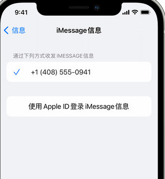 侨乡街道开发区apple维修iPhone上无法正常发送iMessage信息 