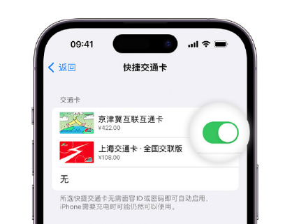 侨乡街道开发区apple维修点分享iPhone上更换Apple Pay快捷交通卡手绘卡面 