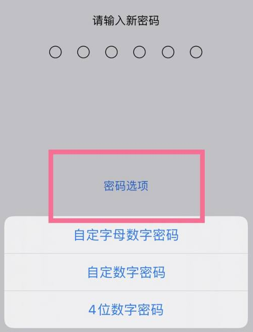 侨乡街道开发区苹果14维修分享iPhone 14plus设置密码的方法 