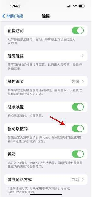 侨乡街道开发区苹果手机维修分享iPhone手机如何设置摇一摇删除文字 