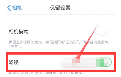 侨乡街道开发区苹果13维修分享iPhone13拍照有绿点是怎么回事 