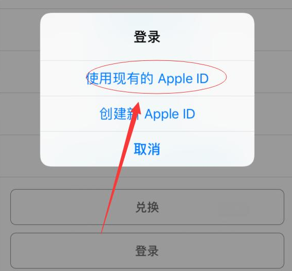 侨乡街道开发区苹果手机维修分享两台iPhone设备可以同时登录一个Apple ID吗 